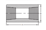 Stattin Stainless Stainless Steel NPT 3000lbs Couplings