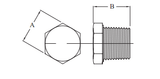 Stattin Stainless Stainless Steel NPT 3000lbs Hex Plugs