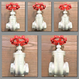 Stattin Stainless Stainless Steel Gate Valves