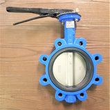 Stattin Stainless 150NB (6") Lugged Butterfly Valves